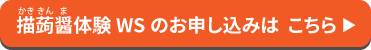 WSボタン